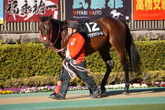 20200202 東京10R 早春S (3勝クラス) ホウオウドリーム 05