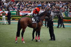 20191124 東京10R ウェルカムS (3勝) オウケンブラック 12