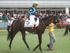 20190908 中山2R 2歳未勝利 ルトロヴァイユ 14