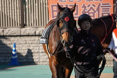 20200202 東京10R 早春S (3勝クラス) オウケンブラック 03