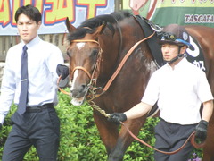 20190608 東京11R 多摩川S 3勝 ルーカス 10