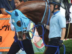20190908 中山7R 3歳上1勝クラス ヴァルドワーズ 10