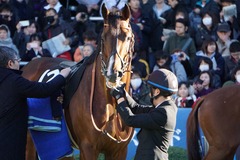 20191228 中山10R 立志S(3勝クラス) ルーカス 11
