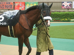 20190622 東京10R 八ヶ岳特別(2勝) ロジスカーレット 03