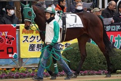 202001111 中山2R 3歳未勝利 トーセンマックス 05