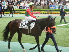 20190601 東京7R 3歳牝馬1勝 ラプターゲイル 10