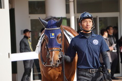 20191215 中山4R 2歳未勝利 アルソリート 10