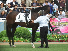 20190921 中山12R 3歳上2勝クラス 10