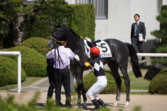 20191006 京都5R 2歳メイクデビュー ハナビマンカイ 18