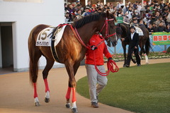 中山12R 4歳上2勝クラス オトナノジジョウ 03