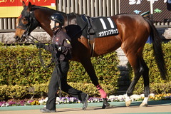 20200202 東京10R 早春S (3勝クラス) オウケンブラック 11