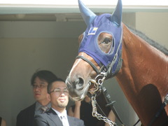 20190928 中山5R 2歳牝馬メイクデビュー アルソリート 04