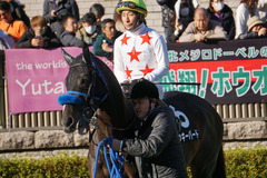 20200202 東京10R 早春S (3勝クラス) ミッキーバード 18
