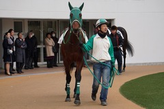 202001111 中山2R 3歳未勝利 トーセンマックス 10