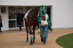 202001111 中山2R 3歳未勝利 トーセンマックス 07