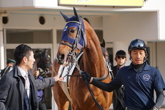 20191215 中山4R 2歳未勝利 アルソリート 06