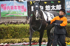 20200216 東京6R 3歳1勝クラス コウソクスピード 15