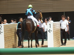 20190908 中山2R 2歳未勝利 ルトロヴァイユ 23