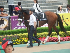 20190601 東京10R 由比ヶ浜特別 3歳上2勝 ロジスカーレット 09