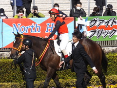 20200209 東京7R 4歳上1勝クラス ピンシェル 15