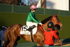 中山12R 4歳上2勝クラス オトナノジジョウ 19