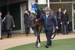 20200125 中山10R 東雲賞(3勝) アドマイヤシナイ 13