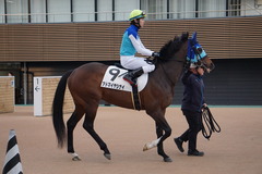 20200112 中山12R 4歳上3勝クラス アドマイヤシナイ 20