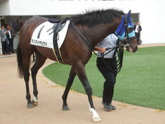 20190921 中山12R 3歳上2勝クラス 08