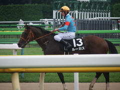 20190608 東京11R 多摩川S 3勝 ルーカス 20