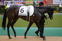20191123 東京3R 2歳未勝利 ミスミルドレッド 09