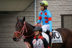 20200215 東京4R 3歳1勝クラス ベイサイドブルー 15