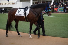 20200112 中山12R 4歳上3勝クラス アドマイヤシナイ 07