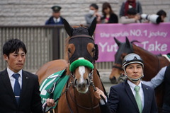 20200215 東京11R クイーンC(G3) 3歳牝馬OP ホウオウピースフル 06