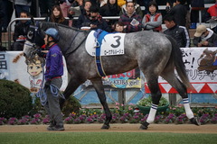 20191222 中山7R 3歳上1勝クラス ロークアルルージュ 07