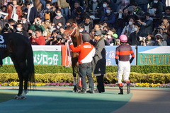 20200202 東京10R 早春S (3勝クラス) ホウオウドリーム 16