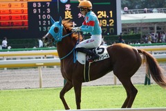 20191027 東京7R 3歳上1勝クラス ヴァルドワーズ 14