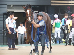 20190908 中山7R 3歳上1勝クラス ミヤコローズ 21