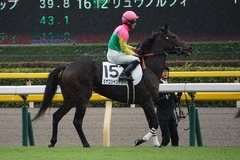 20191014 東京5R 2歳メイクデビュー ミヤコシャンティ 18