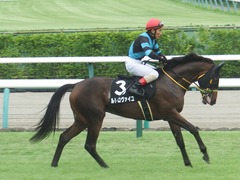 20190922 中山8R 芙蓉S 2歳OP ルトロヴァイユ 19