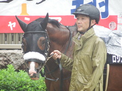 20190622 東京10R 八ヶ岳特別(2勝) ロジスカーレット 06
