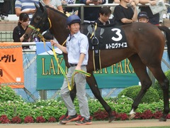 20190922 中山8R 芙蓉S 2歳OP ルトロヴァイユ 03