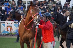 中山12R 4歳上2勝クラス オトナノジジョウ 07