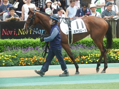 20190616 東京8R 3歳上1勝クラス ミヤコローズ 09