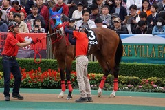 20191124 東京10R ウェルカムS (3勝) アドマイヤスコール 11