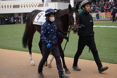 20191222 中山2R 2歳未勝利 ヴィーヴァメジロ 04