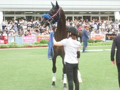 20190928 中山10R 茨城新聞杯(2勝) ミッキーバード 10