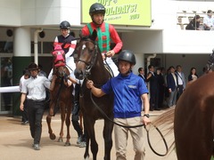 20190916 中山5R 2歳牝馬メイクデビュー バイカル 11