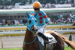 20191027 東京7R 3歳上1勝クラス ヴァルドワーズ 13