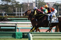20200105 中山7R 4歳上1勝クラス ヤップヤップヤップ 16