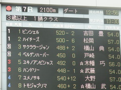 20190609 東京7R 3歳上1勝 ピンシェル 02
